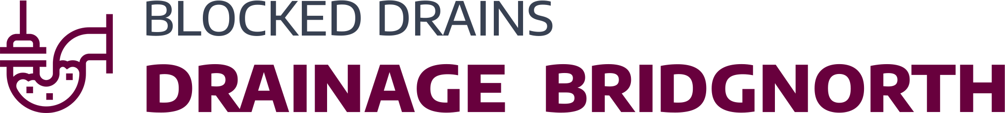 website logo